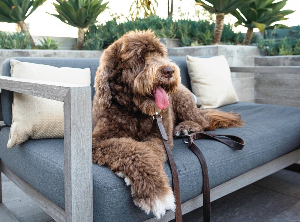 photo 1 of AC Hotel Beverly Hills