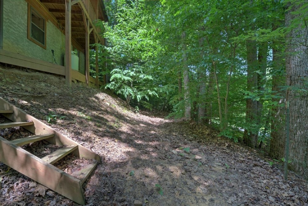 photo 1 of Black Bear Cabin - 2 Br Cabin