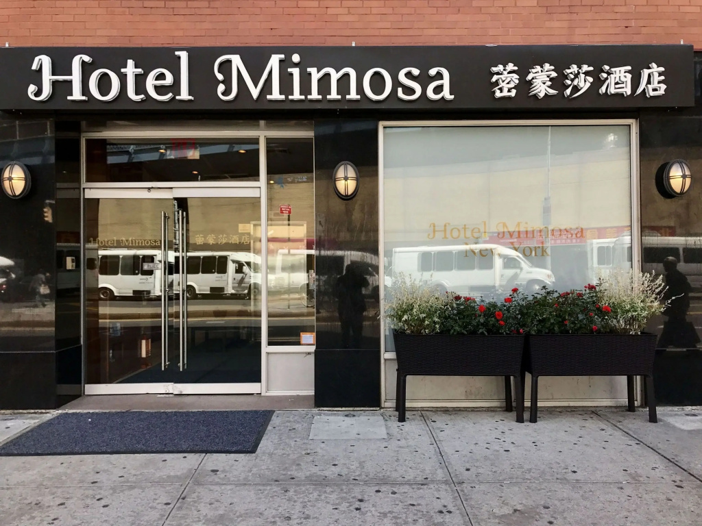 photo 1 of Hotel Mimosa