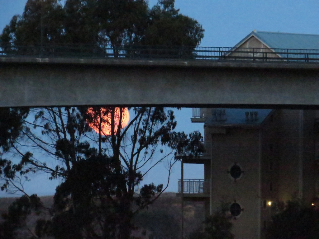 photo 1 of North Cliff Hotel