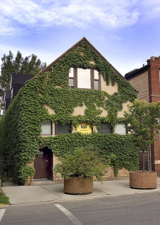 photo 1 of Ray's Bucktown B&B