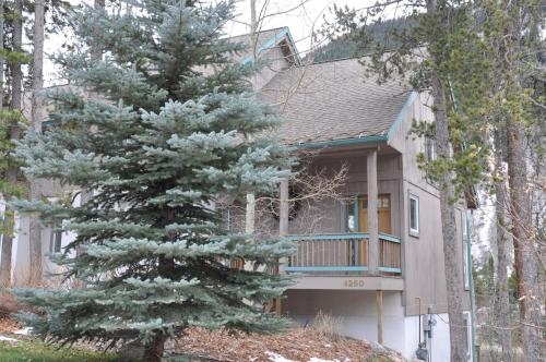 photo 1 of Steps Away from the Vail Ski Bus