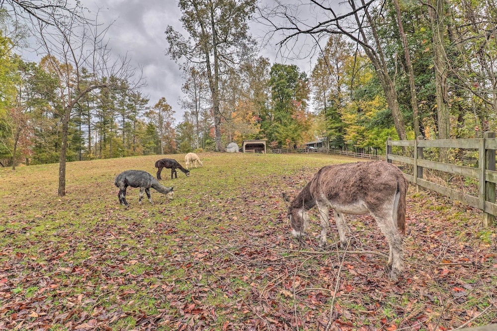 photo 1 of Rustic Hendersonville Farm Studio w/ Private Deck