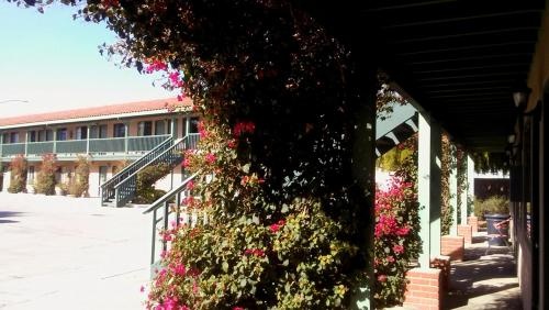 photo 1 of Soledad Motel 8