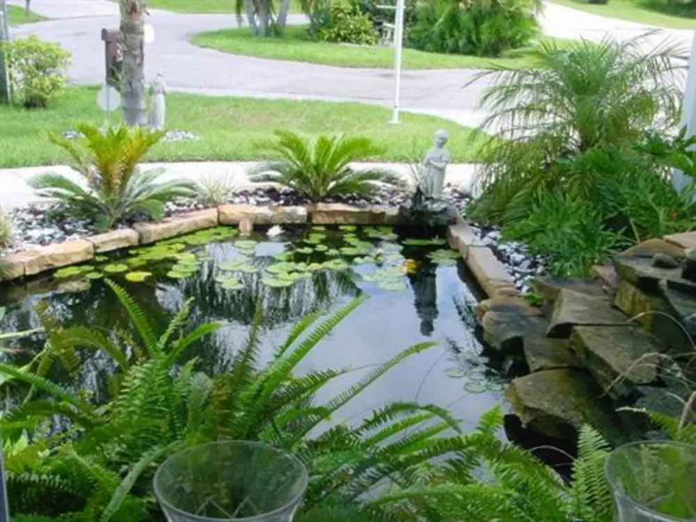 photo 1 of Tropical Paradise Bed & Breakfast