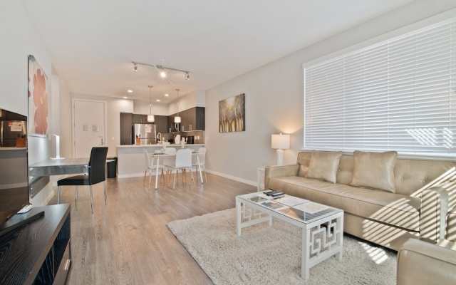 Luxury Apartment