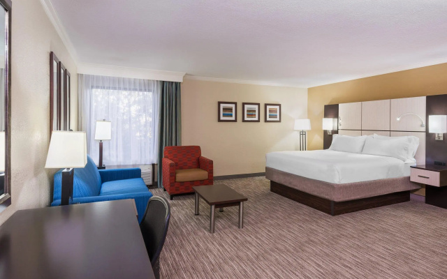 1 Bedroom Suite