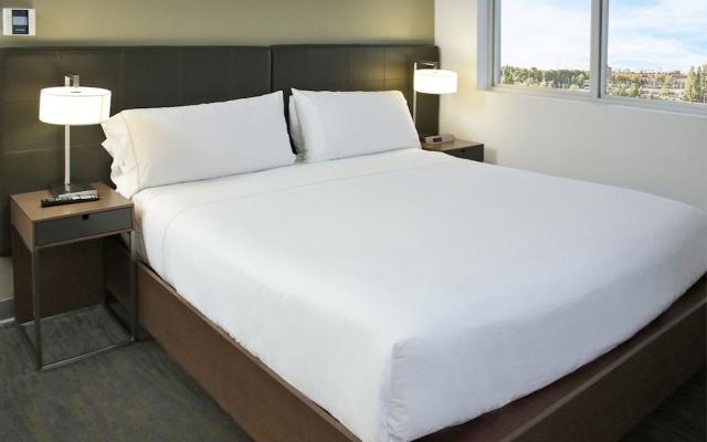 1 Bedroom Executive Suite