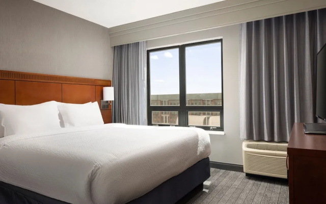 1 Bedroom Suite