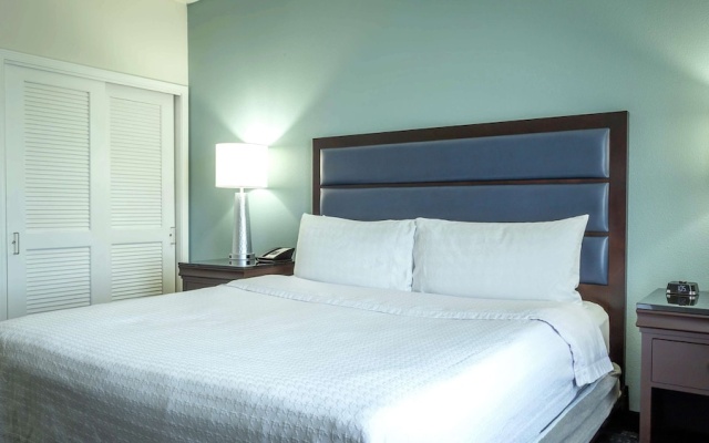 1 Bedroom Suite