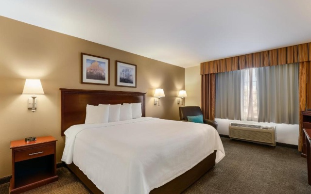 1 Bedroom Suite