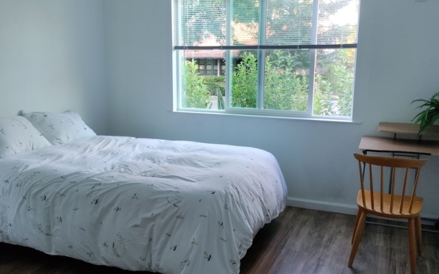 Comfort Apartment