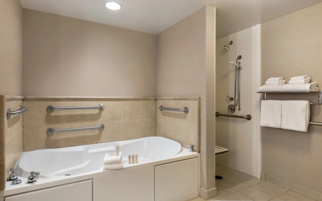 1 Bedroom Suite