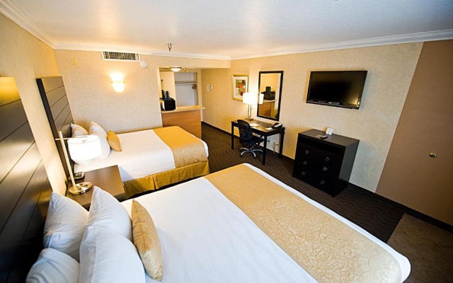 Standard Double room with courtyard view