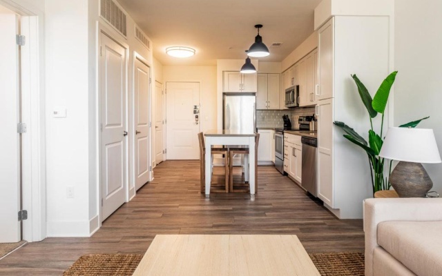 1 Bedroom Apartment