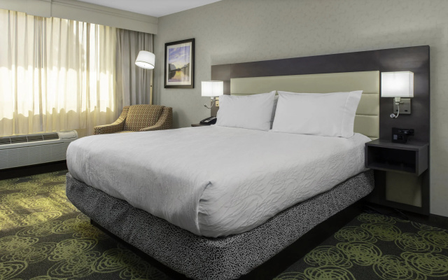 1 Bedroom Double Suite