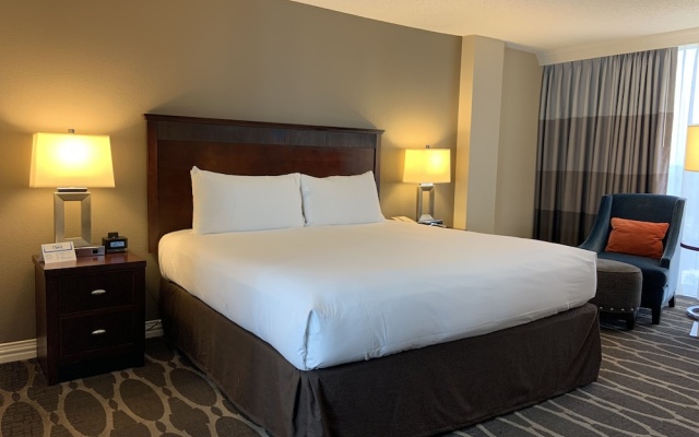 Accessible Double Guest room
