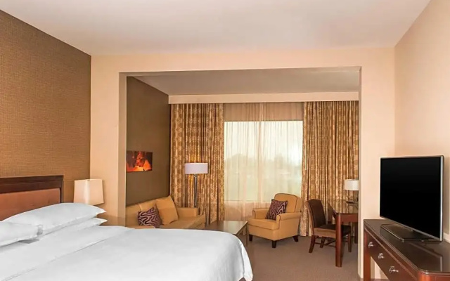 1 Bedroom Presidential Double Suite