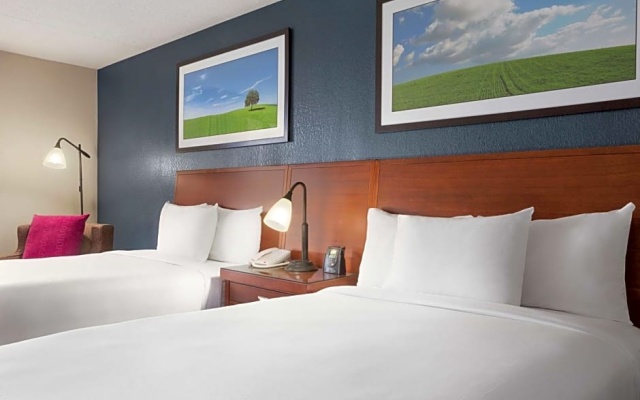 Standard Suite