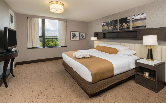 Luxury Double Suite