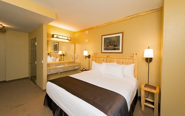 Standard Suite