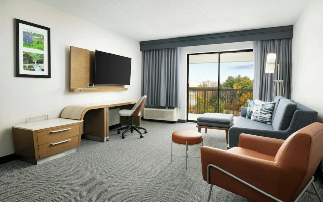 1 Bedroom Suite