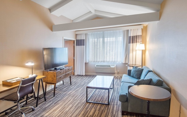 1 Bedroom Suite