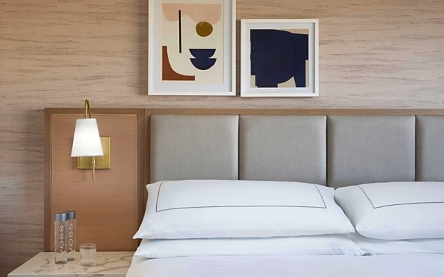 1 Bedroom Double Suite with city view