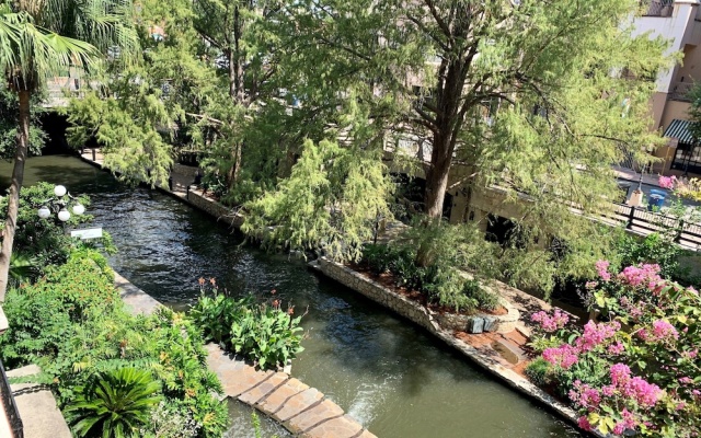 Premier room with river view