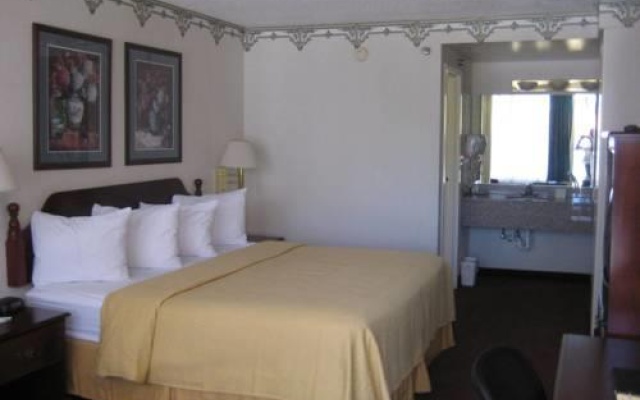 1 Bedroom Suite