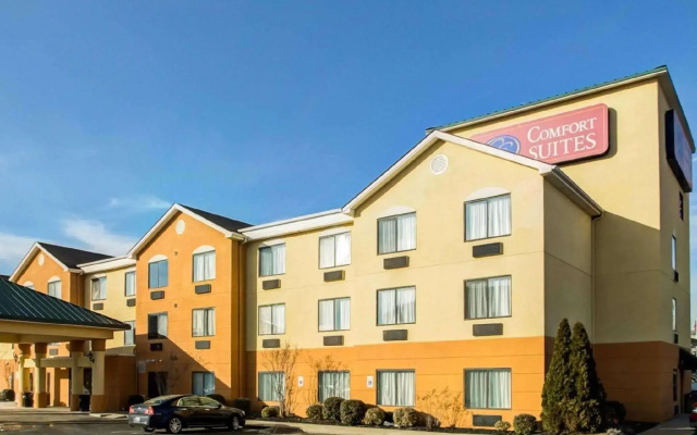 1 Bedroom Suite