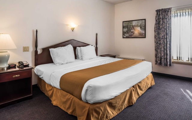 1 Bedroom Suite