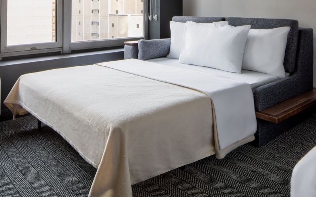 1 Bedroom Suite