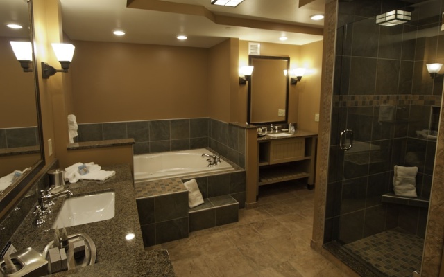 Double Suite with land view