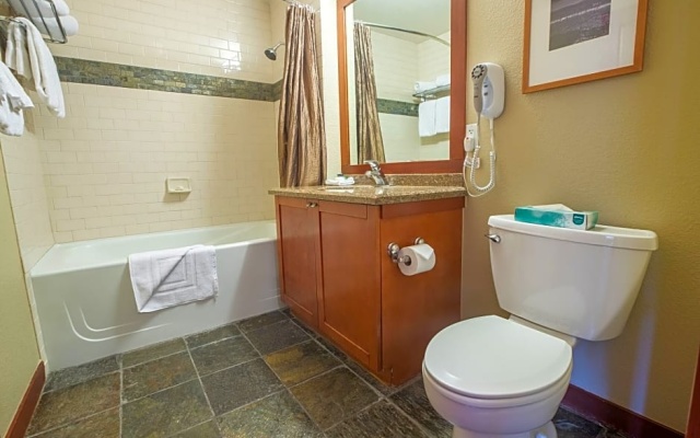 1 Bedroom Standard Double room