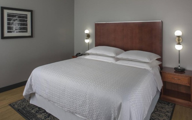 1 Bedroom Double Suite with city view