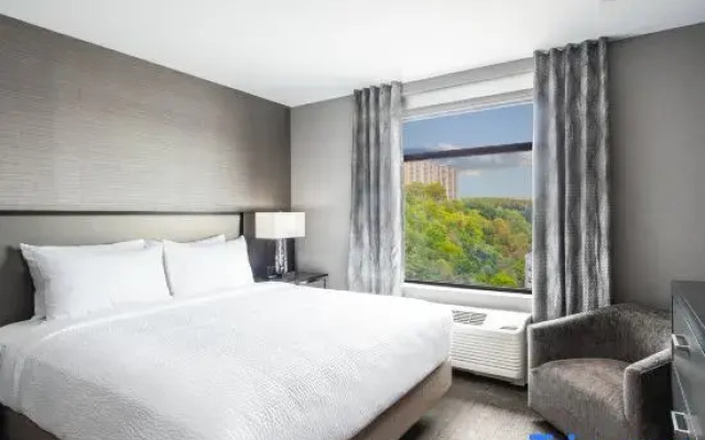 1 Bedroom Suite with view