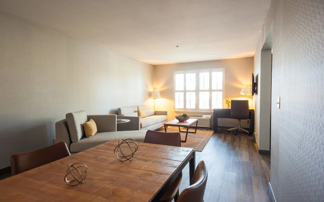 1 Bedroom Suite