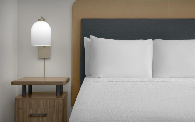 1 Bedroom Suite