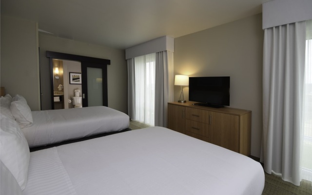 1 Bedroom Suite