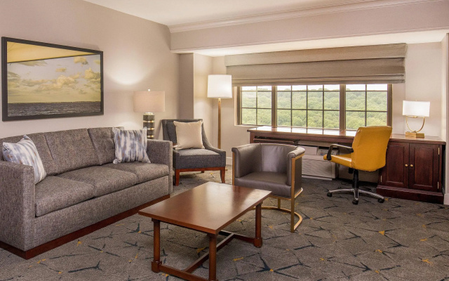 Executive Double Club Suite