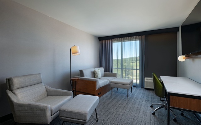 1 Bedroom Suite