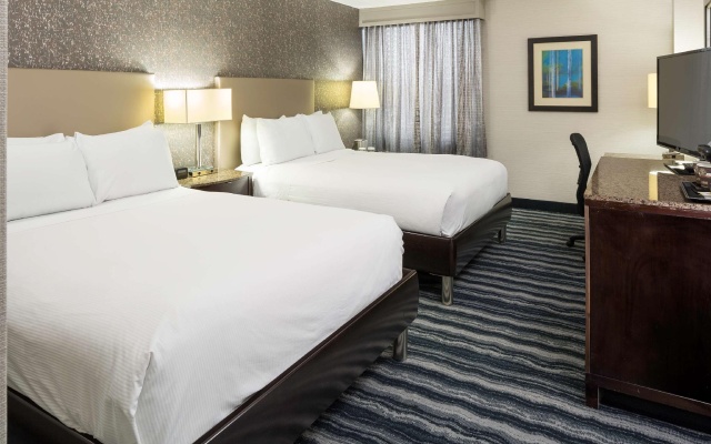 Premium Quadruple Suite