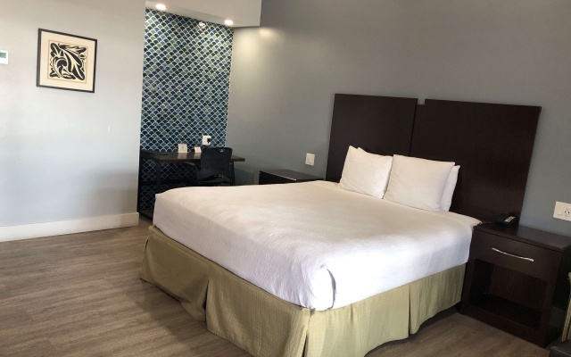 Standard Double room with balcony and with ocean view