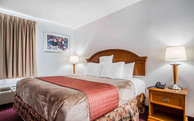1 Bedroom Suite