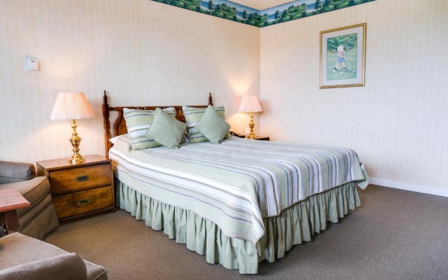 Standard Double room with pool view