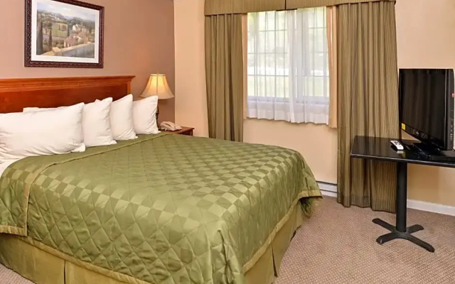 Double Suite