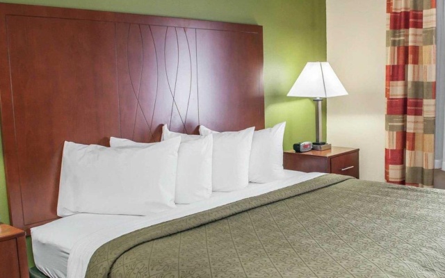 1 Bedroom Suite