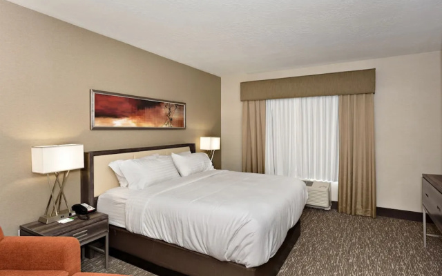 1 Bedroom Suite