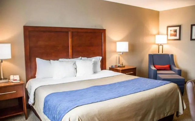 Superior Suite